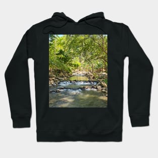 Mountain Stream, Jasaan, Misamis Oriental, Mindanao, Philippines Hoodie